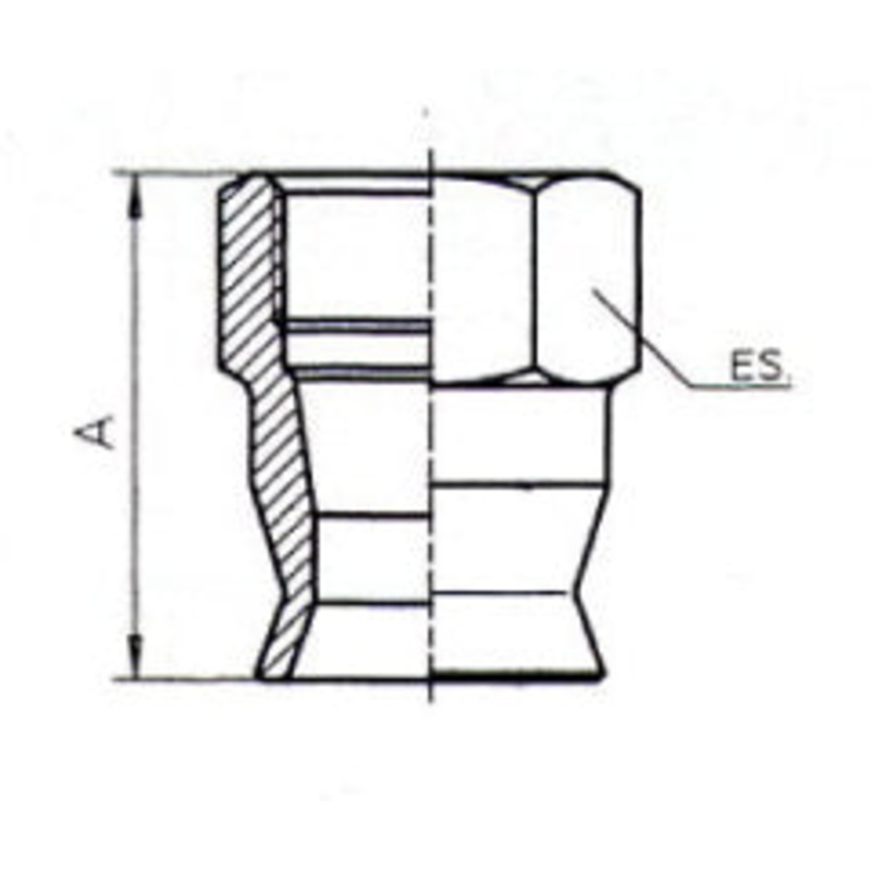 B & H Standard - nut