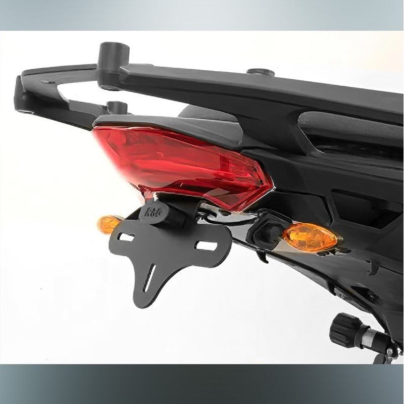Tail Tidy Ducati R&G (LP0096BK)