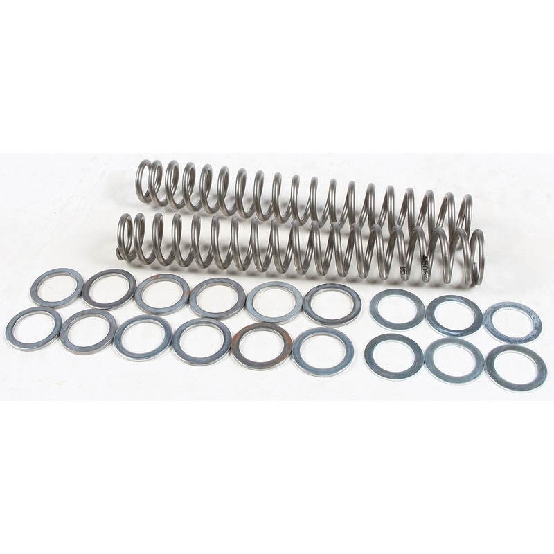 RACE TECH FORK SPRING 0.85KG FRSP S3825085
