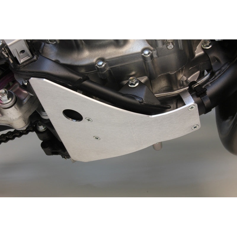 WORKS SKID PLATE 10-109