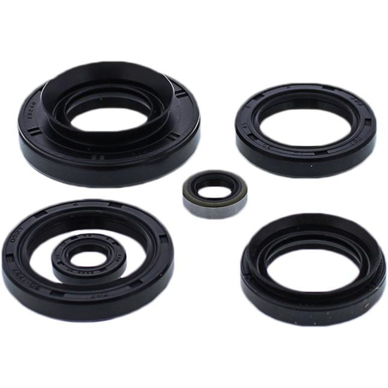 WINDEROSA OIL SEAL SET 822881