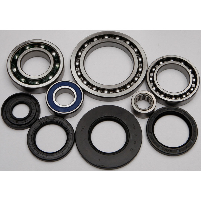ALL BALLS REAR DIFFERENTIAL BEARING AND SEAL KIT 25-2041