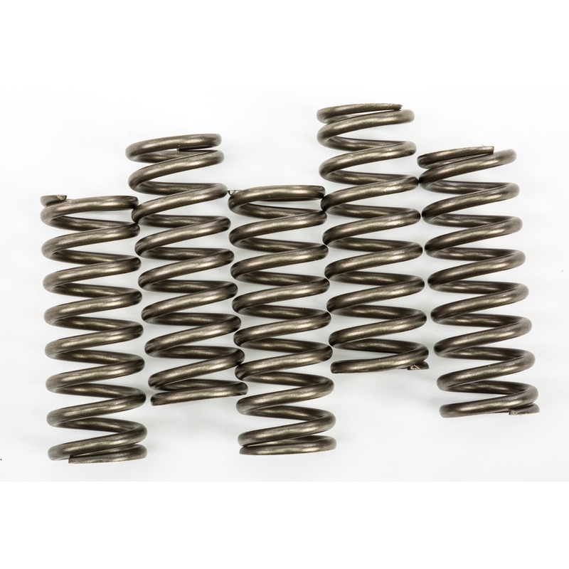 EBC CLUTCH SPRINGS CSK254