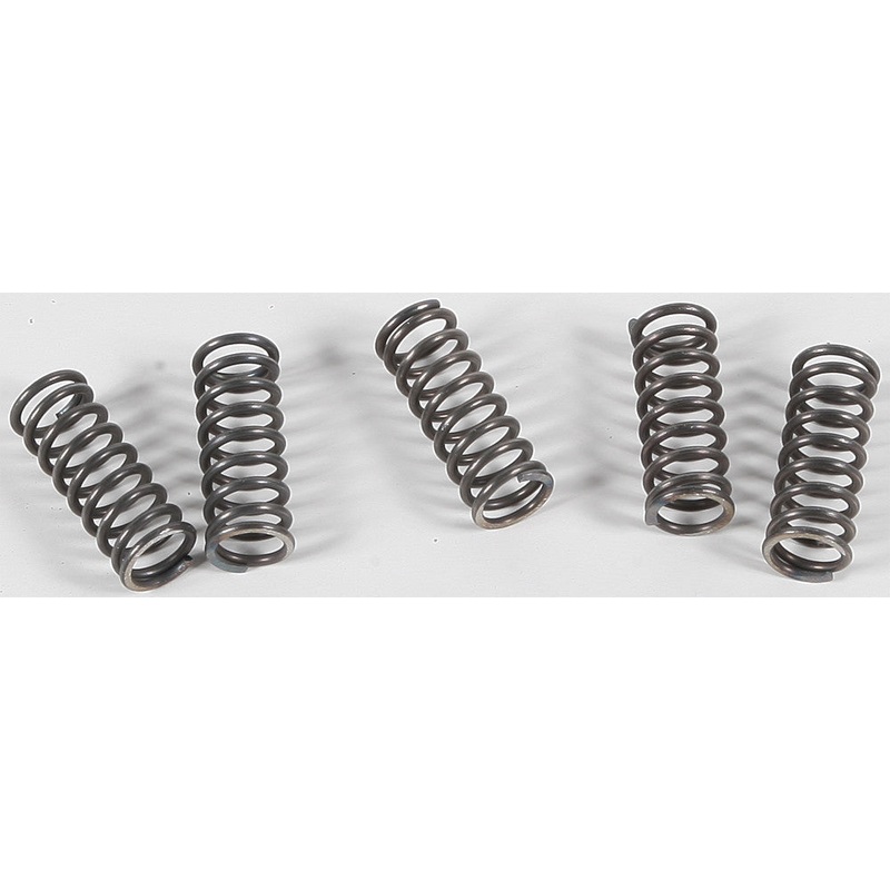 EBC CLUTCH SPRINGS CSK70