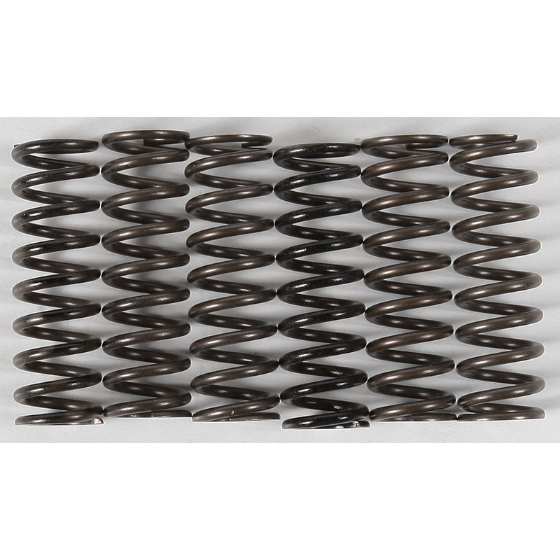 HINSON HIGH TEMP SPRINGS 6 SPRINGS CS216-6-0315