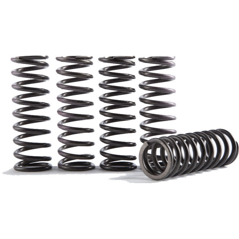HINSON SPRING KIT CS068-4-0116